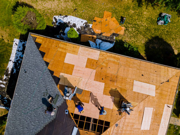 Best Metal Roofing Contractor  in Pascagoula, MS