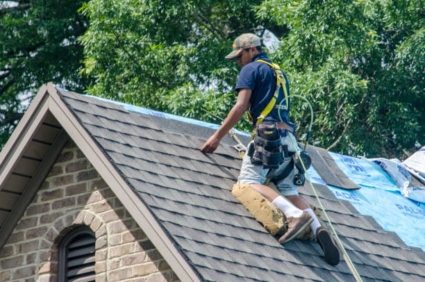 Best Roof Gutter Cleaning  in Pascagoula, MS